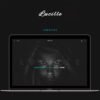 Lucille – Music WordPress Theme