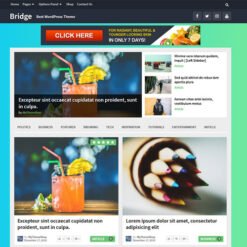 MyThemeShop-Bridge-WordPress-Theme